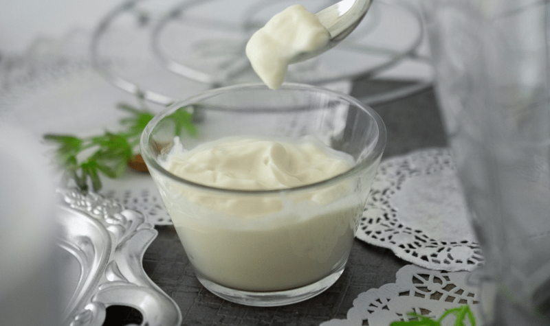 Discover Our Vegan Mayonnaise